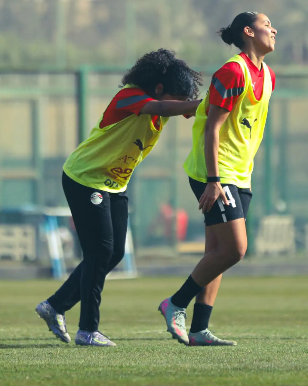 منتخب مصر للكرة النسائية يبدأ تحضيراته لكأس أفريقيا