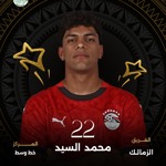 محمد السيد