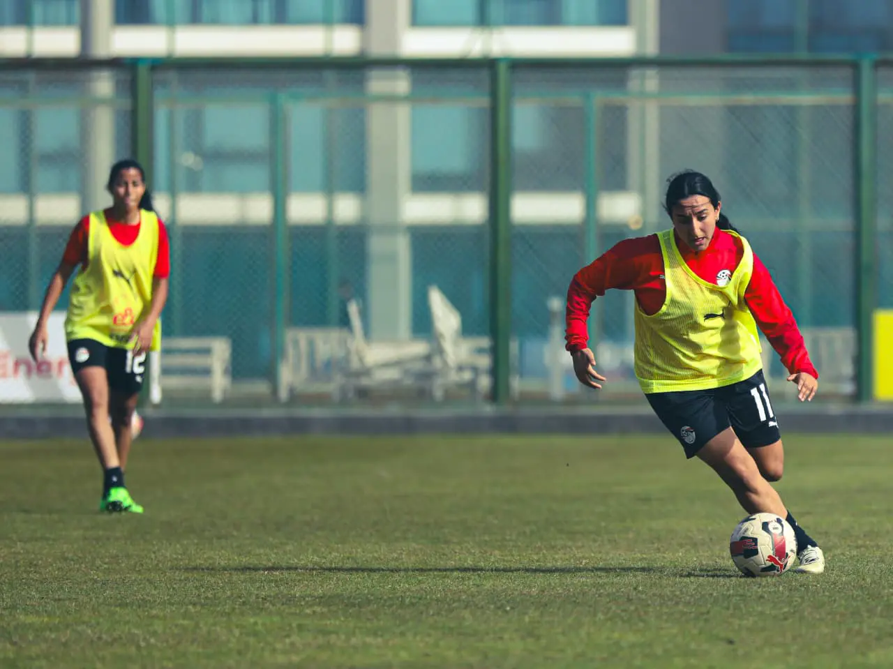 منتخب مصر للكرة النسائية يبدأ تحضيراته لكأس أفريقيا