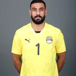 احمد الشناوي